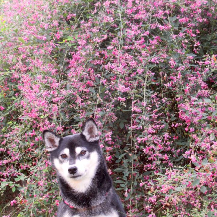 4fcb7564 0d69 4f8a ad00 e087a4b56419 1601424125159