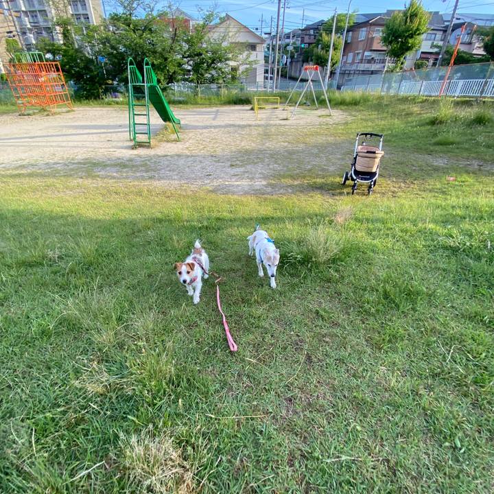 4fcb7b27 0af8 4a03 9e17 fdd9b10ddabb 1716330277867