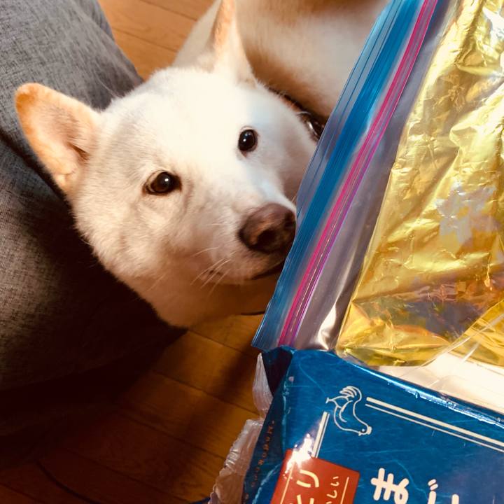 4fcb9343 0d29 43ca 93ac 2b2805cf8607 1638835041902