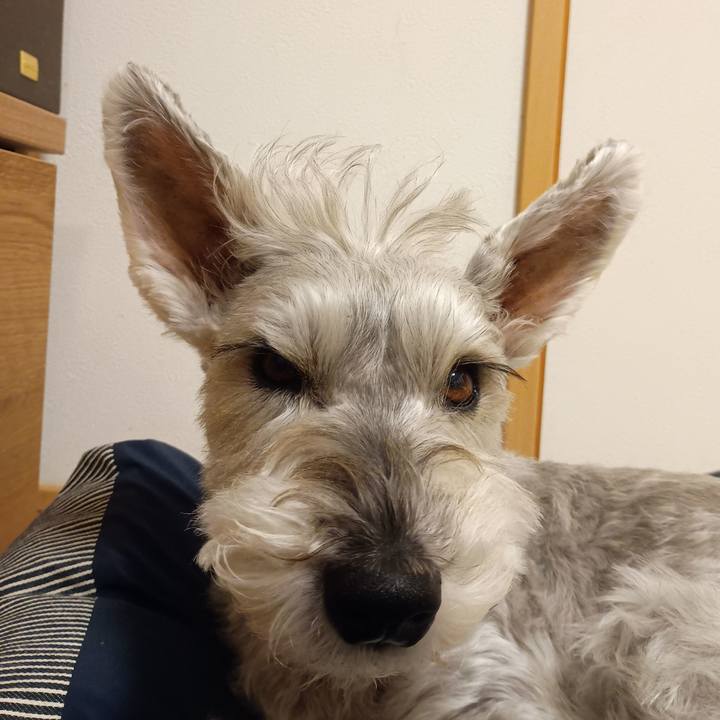 4fcb9a5c ed3e 4bda 96b0 d90c323ae8c1 1763294377001