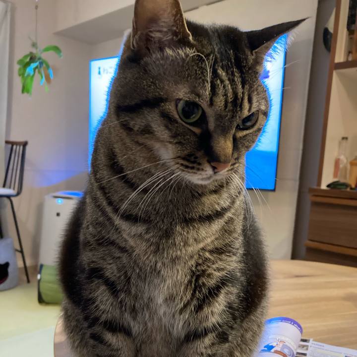 4fcba878 59e5 449f b65e e81a3e0a199b 1673182585757