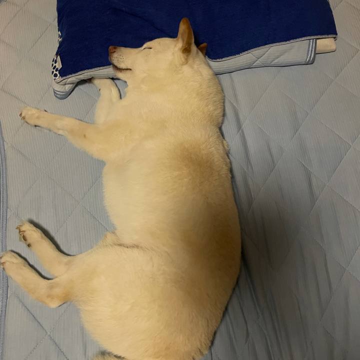 4fcbb262 7671 42fa 8f07 3f2cd33ee675 1633962327717