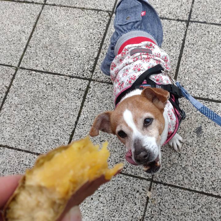 4fcbb392 3b37 4e21 8488 8643fad96952 1774158285014