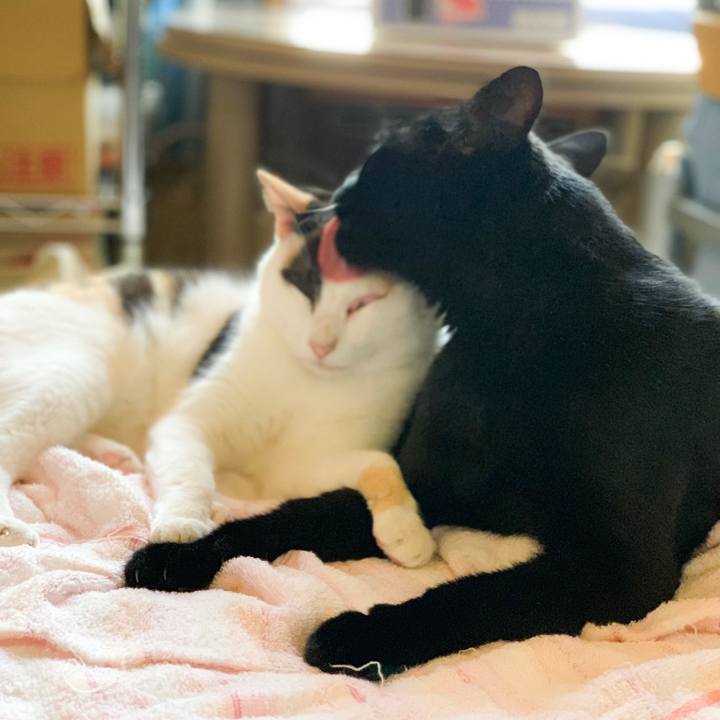 4fcbb757 6867 43ca 9669 10fa5ab889e8 1569723804998