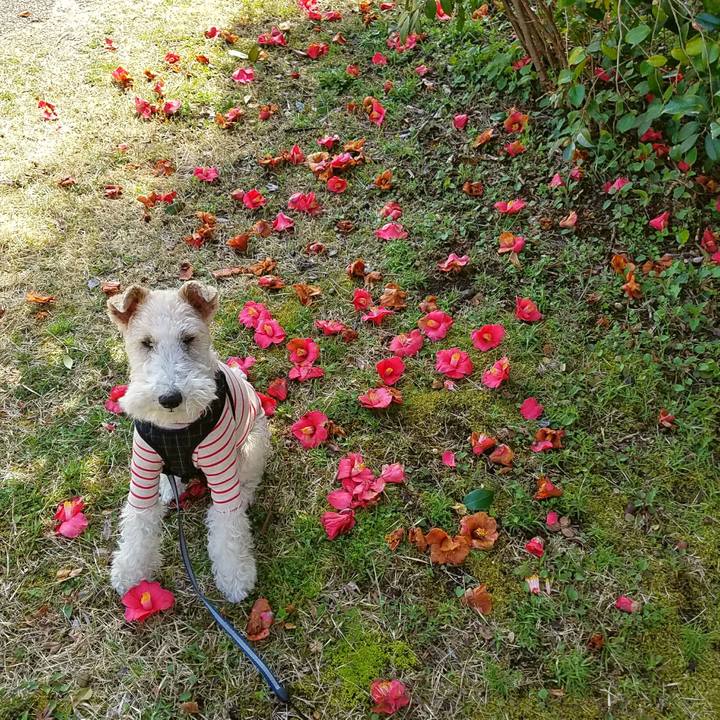 4fcbc63f 2f18 4e71 aaa9 6ba174f194be 1521352296536