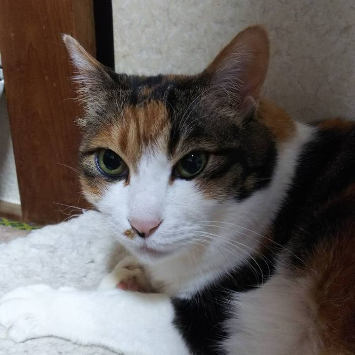 4fcbf562 fa49 4ba2 9eae da3bfdcba703 1554846201860