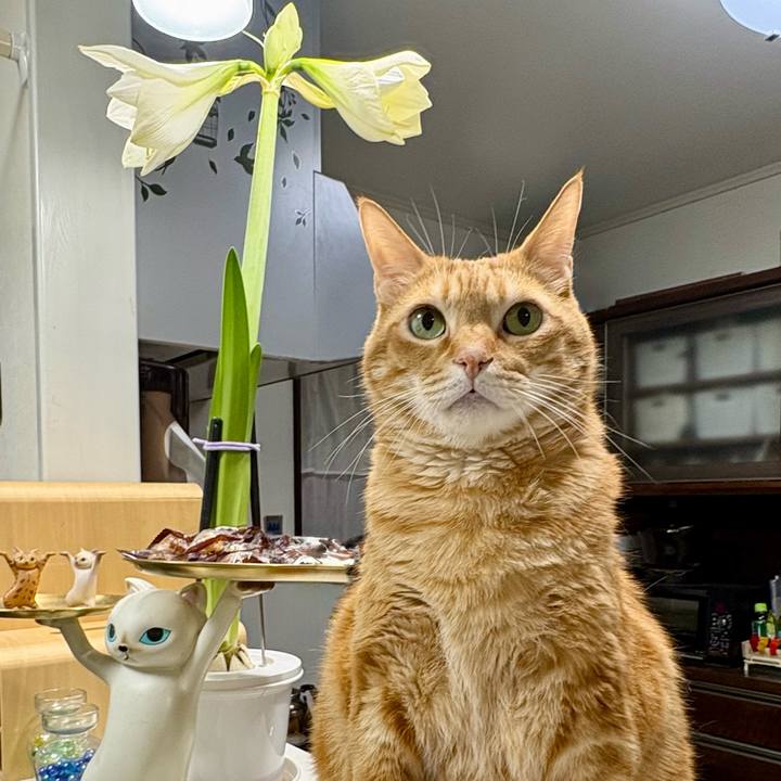 4fcc0bfd 3dd0 4420 ac62 e106d327fd17 1773098354650