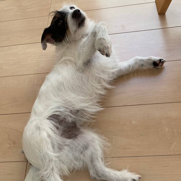 4fcc4230 7e43 4c4c a947 3e60fd034afb 1552359843875