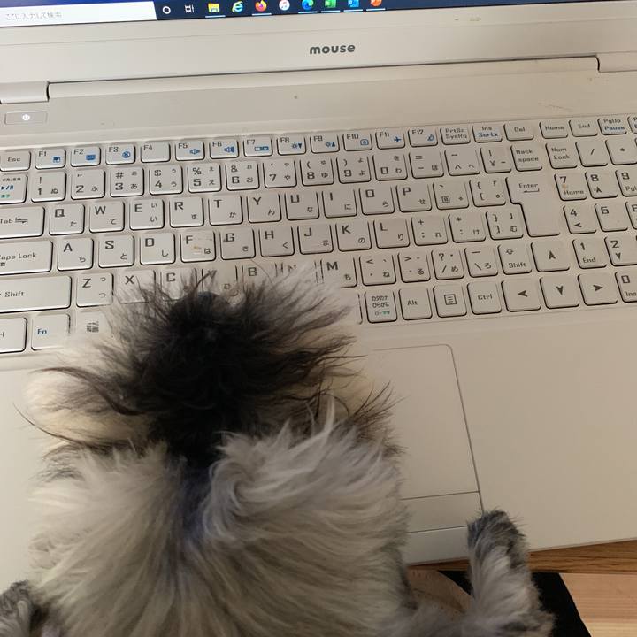 4fcc4516 c339 474b 8b39 e1ee462be2f1 1596170138534