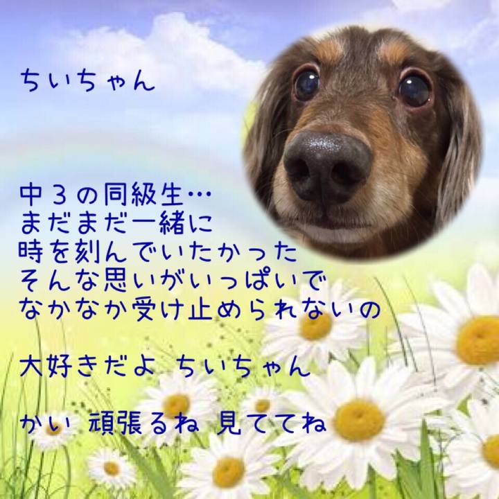 4fcc4640 03e8 4024 8bc4 ff987edbfb71 1530103983715