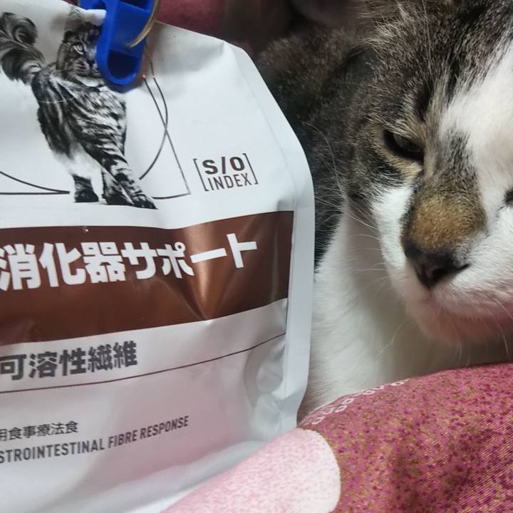 4fcc9200 57e9 429c 9ac1 433480adb437 1619705475640