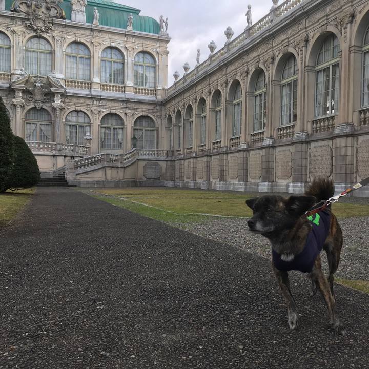 4fccb53e 3aa3 42d5 a45e 534c941827cd 1542643293495