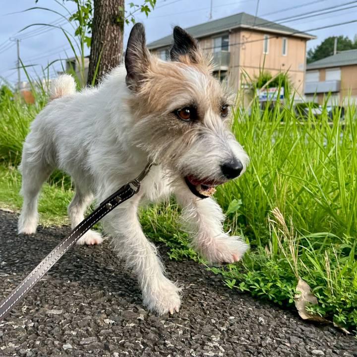 4fcce09d 85c3 49aa 8611 7c64adc2d283 1751718808875