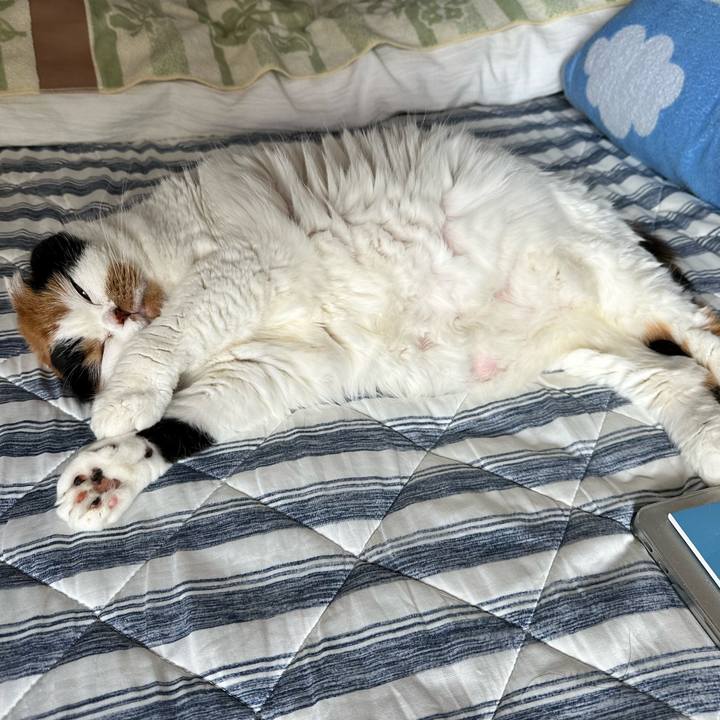 4fcd0830 dd9c 40a9 9072 7b8348eb4726 1681285804617