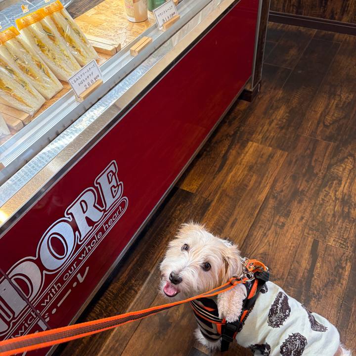 4fcd28ec bd95 4653 8f30 c64ed7960bbb 1763420727361