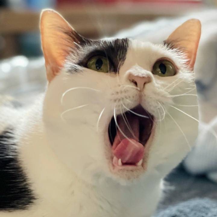 4fcd2e5c 4b7d 4a5a 9321 fe6b2161ef4e 1630721398851