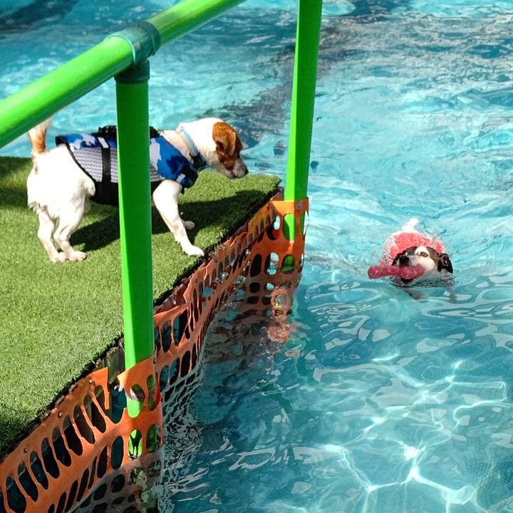 4fcd3d51 9250 473e 8ccb e00ede0e5b0e 1681044429839