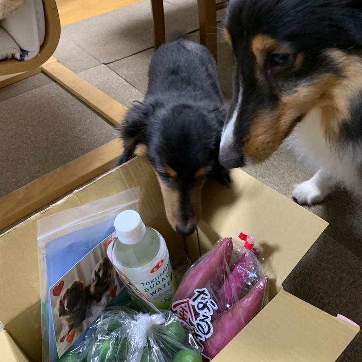 4fcd4ef1 113b 4785 a016 076eb809a5b7 1598301446373