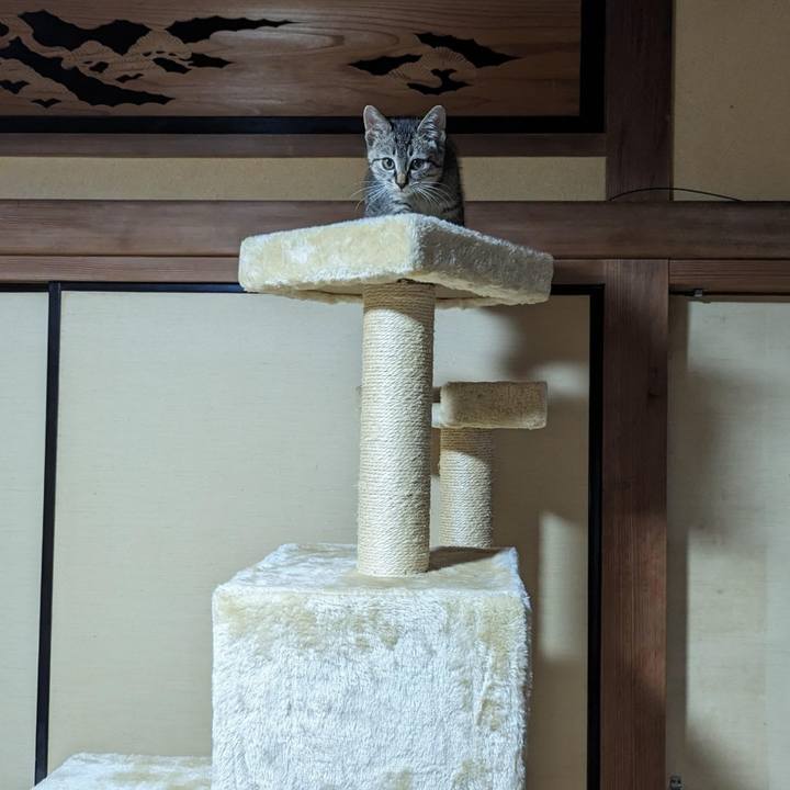 4fcdb0ba f803 43ef afcc 1de183df0202 1699411775307