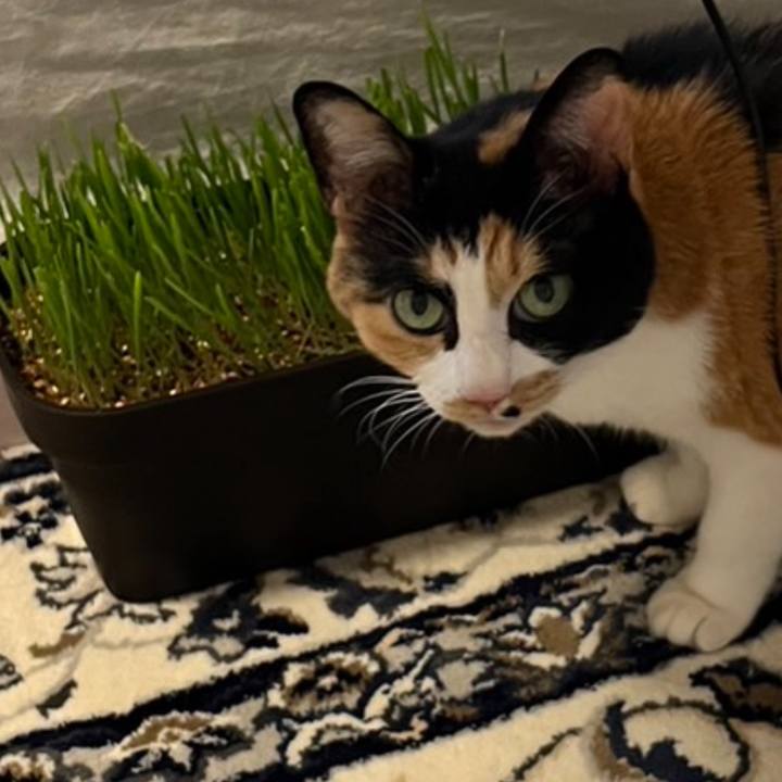 4fcdbbb1 18ea 4f6a ac35 e30bdbb1ec53 1688336571593