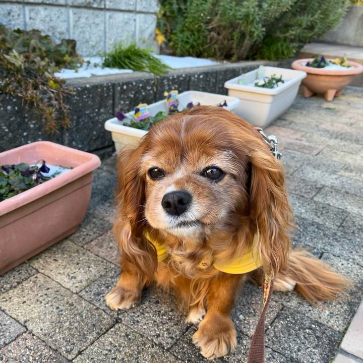 4fcdc7f9 393b 4b46 bf4b 2d5331aea21f 1739059411601