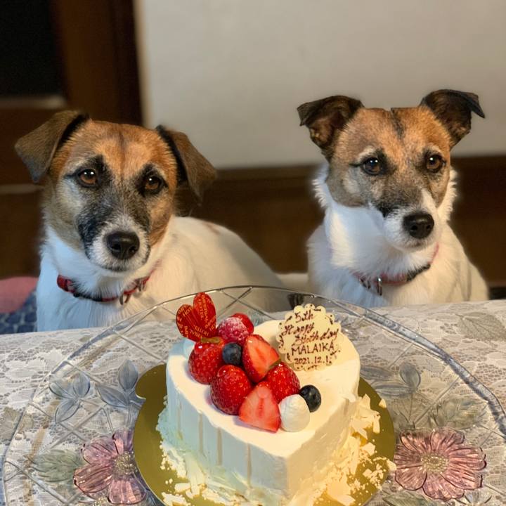 4fce158b 30cd 4ad7 8e21 c06b7eedf952 1638359422474