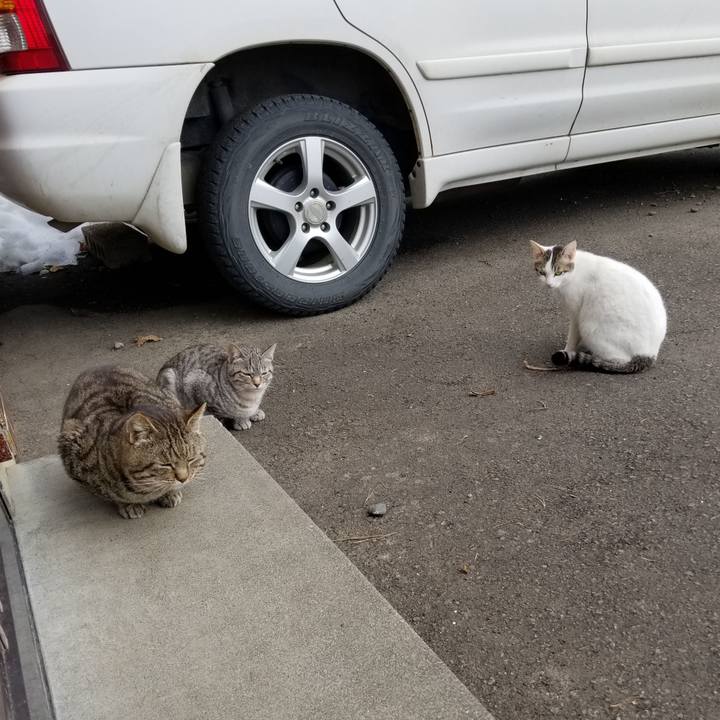 4fce2145 a9df 4c93 bff5 aa50adf3ebee 1584749096206