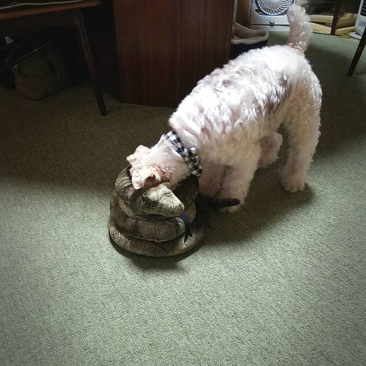 4fce2f60 fbb1 408f 957a 6925b0e4fc8c 1515853877999