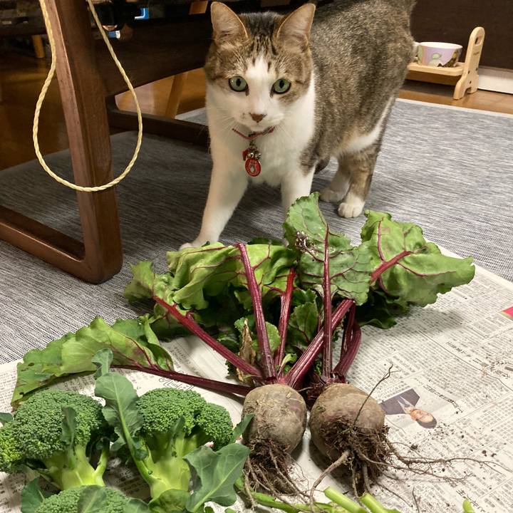 4fce3363 635a 4248 86b9 5443ae03e4cf 1638772382146