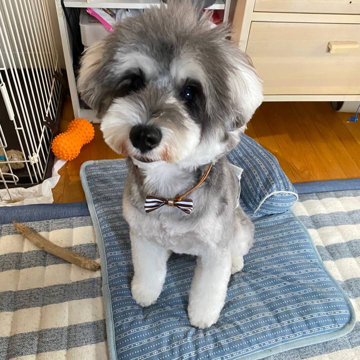 4fce4be2 8bc5 4bf6 a1d0 579bfa3d9531 1597294384484