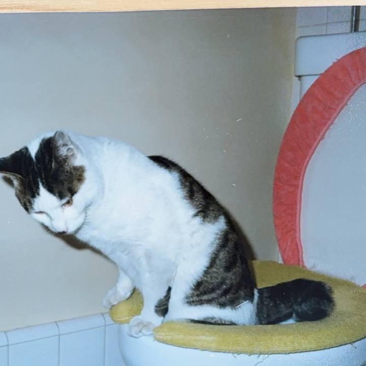 4fce5639 e29d 45f7 b745 bb071c64df86 1754745192677