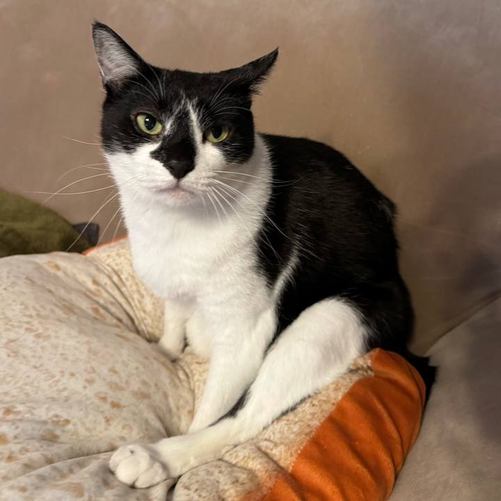 4fce6c66 4b04 40b1 bda3 2e748f47f7b7 1771643888710