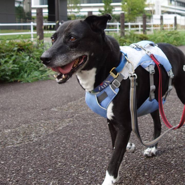 4fce6d08 c394 4382 84d5 2ed1d7ccbd10 1722468743712