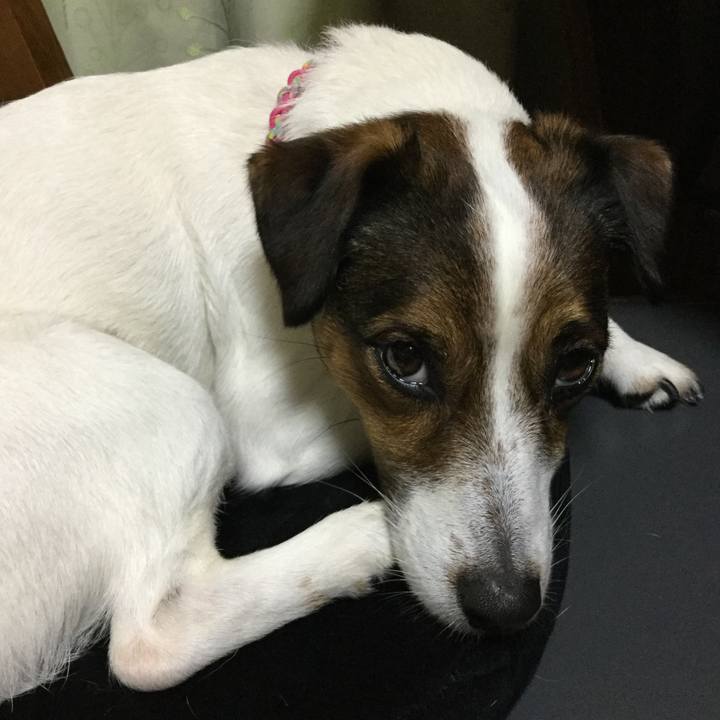 4fce718c d11b 4776 a045 900de89ba725 1522146536151