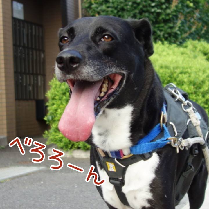 4fce94d5 de84 45e8 b138 d6359b158021 1659227059318