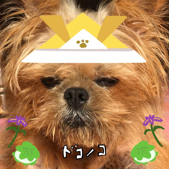 4fce96b7 45b8 4272 827a b2525945586a 1714902240423