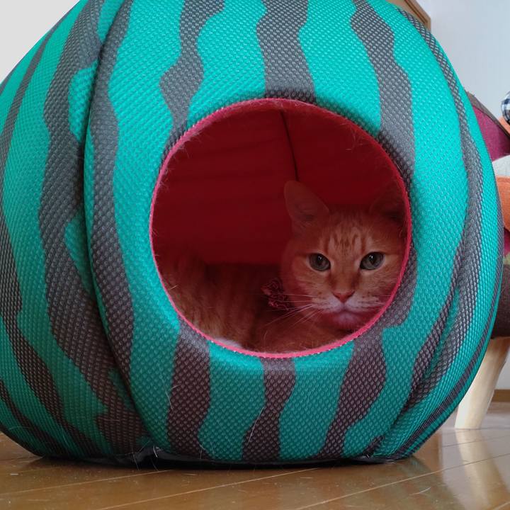 4fceaaad 8615 4918 a85a 6ea2ef0d7516 1629687600711