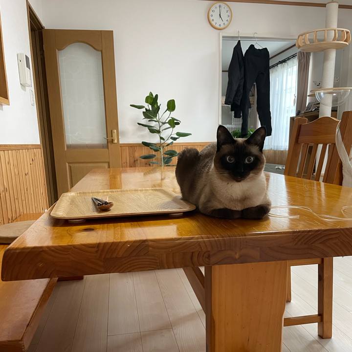 4fcec8ee 685a 477a ae78 ed403ff6bc29 1752437288189