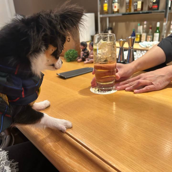 4fcee39e 8440 47d0 afe4 0c042b5557db 1764894852540