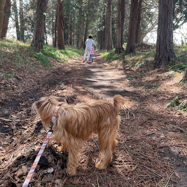 4fcf39b0 3ef5 42b8 ba49 f7a7360dcf3e 1712026708961