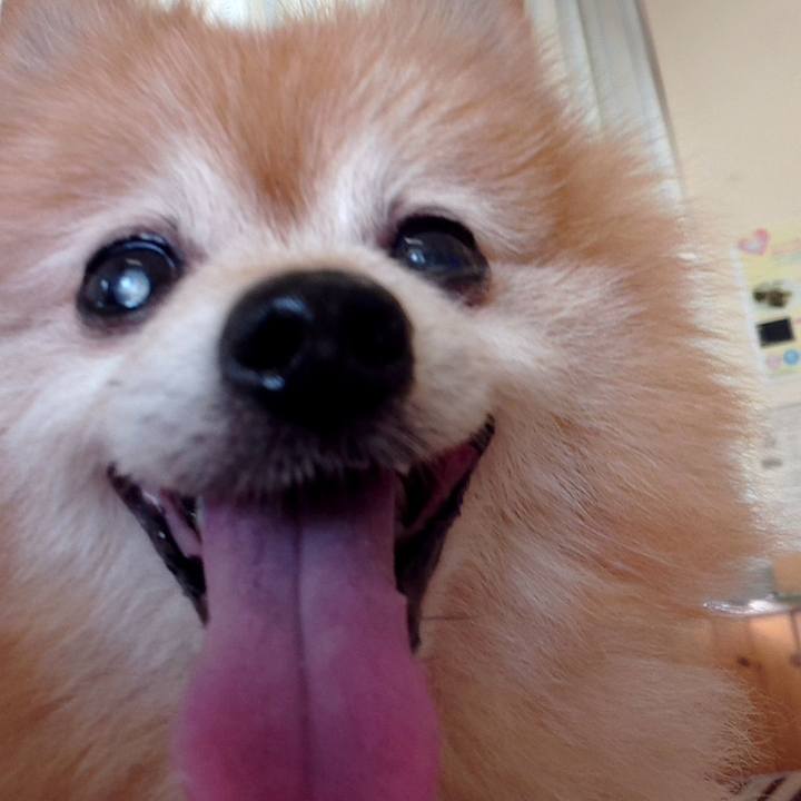 4fcf50df 57b4 4c42 8e84 9e71ce225682 1596673488539