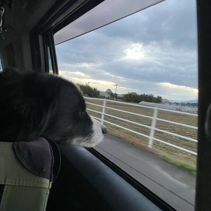 4fcf5c4a 0548 4806 adbd 6894c0f6fc85 1638569220500