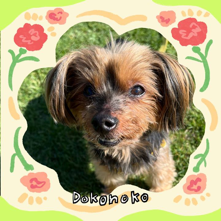 4fcfaeee 5afe 4ab9 ab69 47825b0fe532 1714881283274