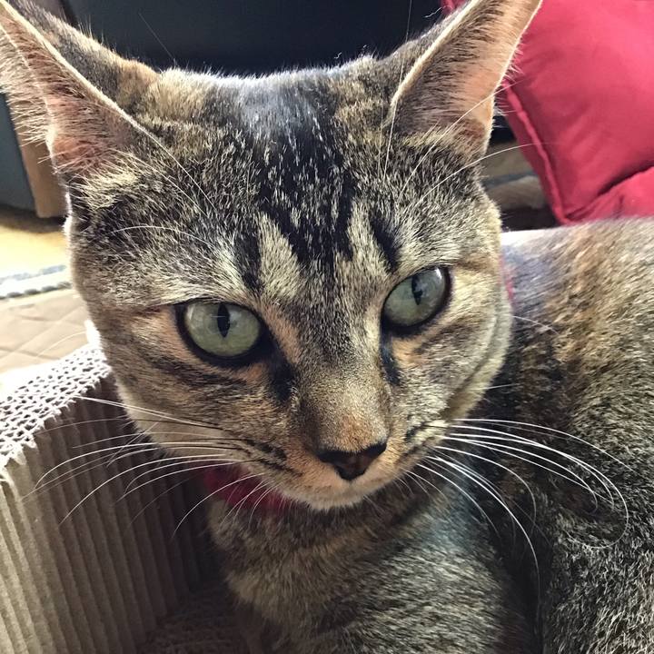 4fcfc1ce 3a60 48df a0c4 d18ecc22a452 1602752219803