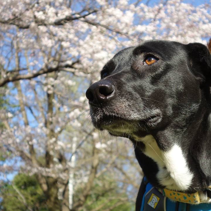 4fd00248 a4eb 4a16 8b72 75c55d4f8da1 1616725892689