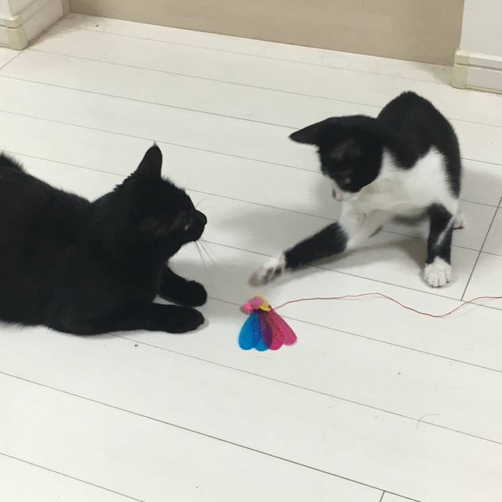 4fd01275 8ae9 4410 b658 d4b1e5b2554f 1537584265422