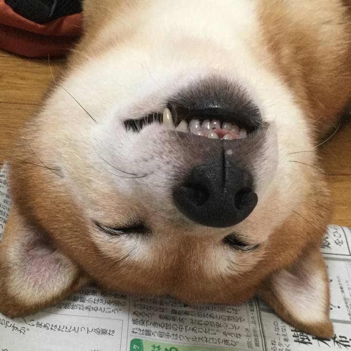 4fd01771 c3af 48cf 902d b17651ab1012 1598242642146