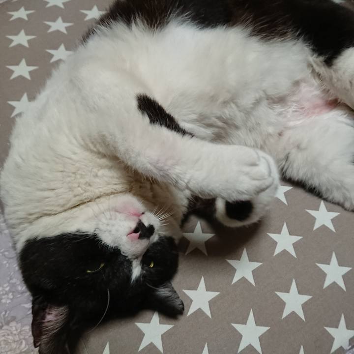 4fd080f6 d058 4cc2 89dd 2603514aa537 1617271484778