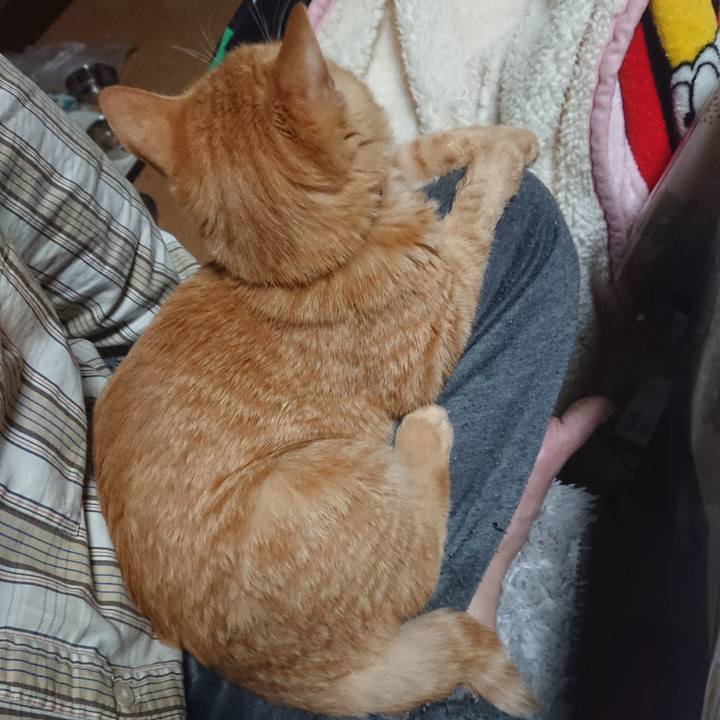 4fd0b37d c6cf 4eda 8680 24dd17dbb301 1636666759964