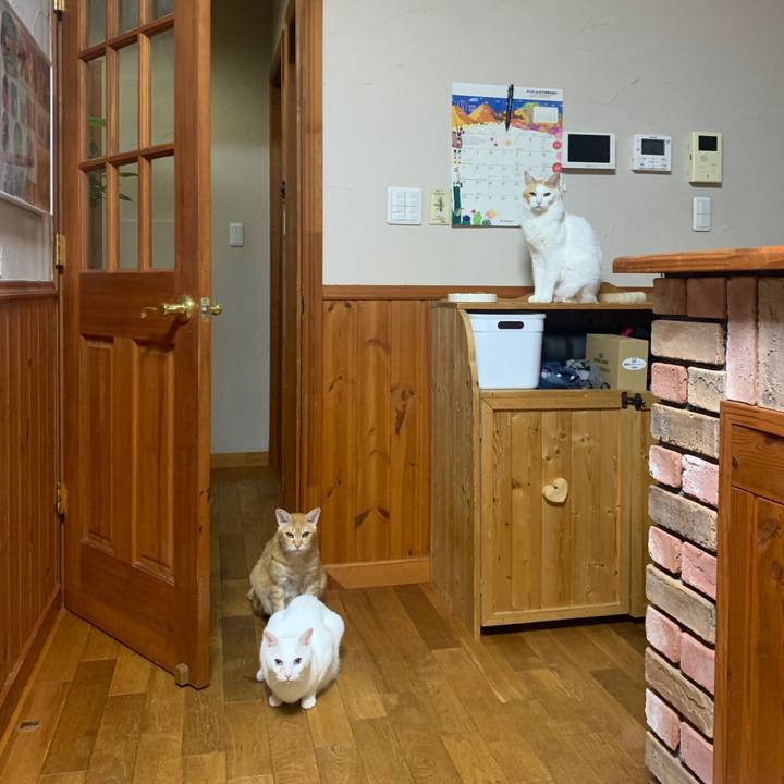 4fd0d5ac b485 49dc 9bad e0ff2f631edd 1664371373918